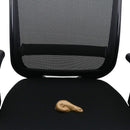 Realistic Fake Poop - for Gags and Pranks - Novelty Joke Plastic Toy for Halloween or April Fools Looks Real - 4.5" Long