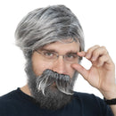 Grey Wig and Mustache - Salt and Pepper Hair Old Person Gr...Wigs and Mustache Old Man Costume Accessories Set for Boys and Girls