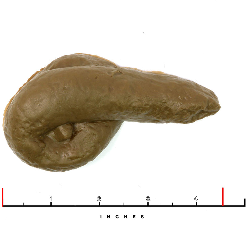 Realistic Fake Poop - for Gags and Pranks - Novelty Joke Plastic Toy for Halloween or April Fools Looks Real - 4.5" Long