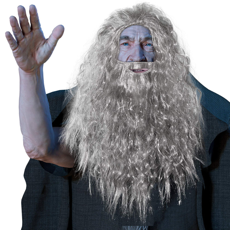 Grey Wig and Beard - Long Gray Wizard Wig and Beard Costume Accessory for Adults and Kids