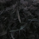 Feather Boa Costume Accessory - Great Black Boa with Feathers - 1 Piece