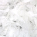 Feather Boa Costume Accessory - 1920's White Boa with Feathers - 1 Piece