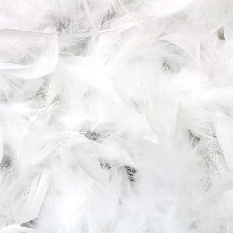 Feather Boa Costume Accessory - 1920's White Boa with Feathers - 1 Piece