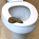 Realistic Fake Poop - for Gags and Pranks - Novelty Joke Plastic Toy for Halloween or April Fools Looks Real - 4.5" Long